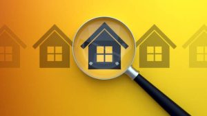 Bayside building inspections