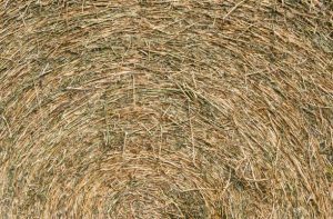 baling twine fast shipping