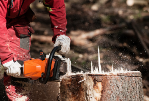 StumpRemovalAdelaide tree stump removal Adelaide