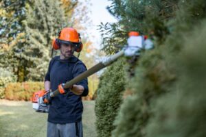 professional Adelaide gardening services