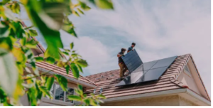 Tindo solar companies