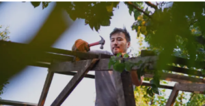 pergola builders near me
