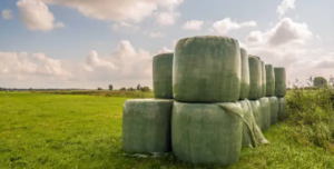 green silage film