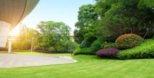 landscaping cost