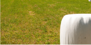 UV-protected silage plastic