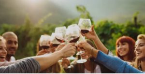 McLaren Vale wine tours
