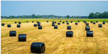 bale wrap